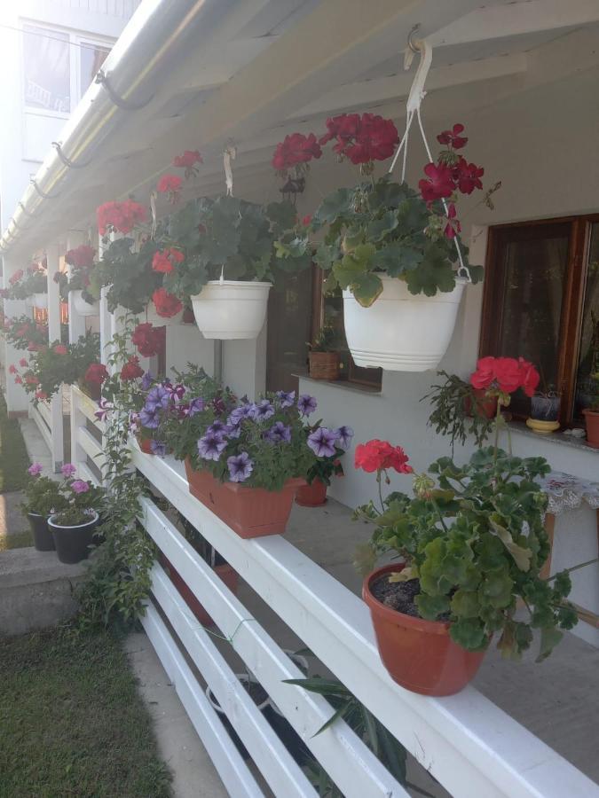 Cazare Turism Prislop Hotel Haţeg Екстериор снимка
