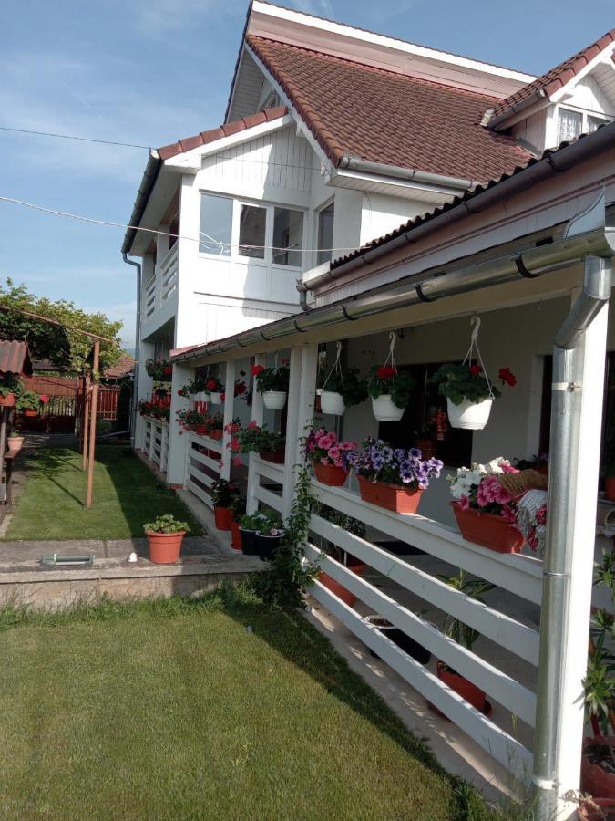 Cazare Turism Prislop Hotel Haţeg Екстериор снимка